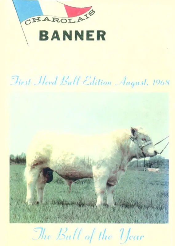 An August 1968 publication pictures Beau Ivo with the caption 'The Bull of the Year'