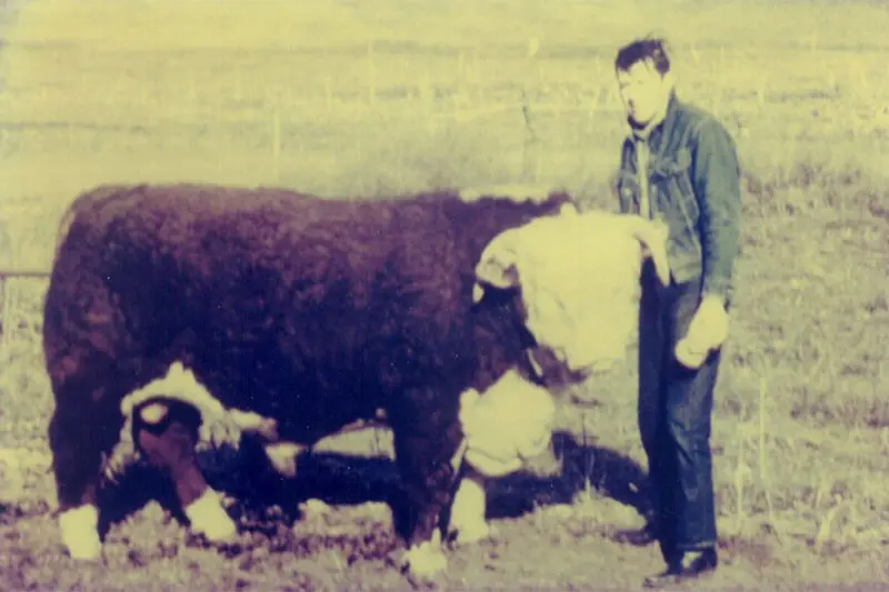 An old photo of Lester Laue standing in a cow pasture.