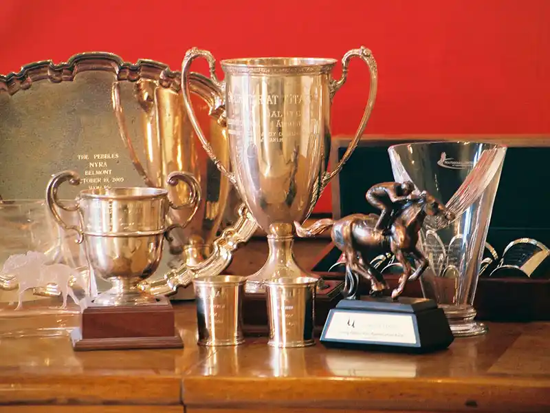 A collection of Laue Ranch's thoroughbred racing trophies